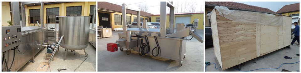 Snack Frying Machine