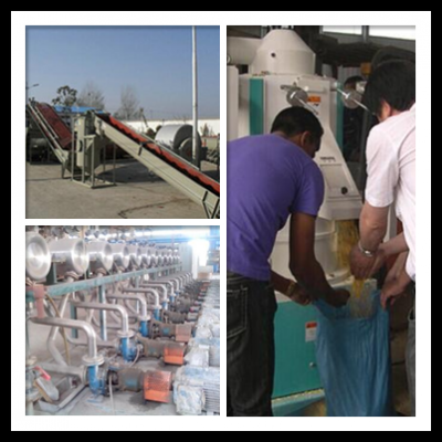 Starch Processing Machine in Nigeria 