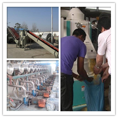 Starch Processing Machine