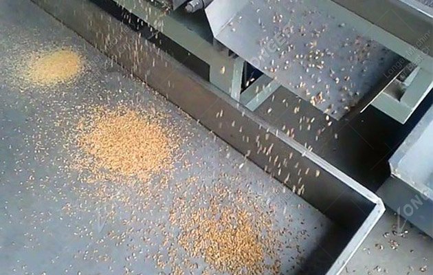 Peanuts Chopping Machine