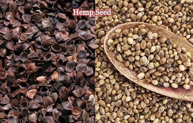 Hemp Seed Hulling Machine