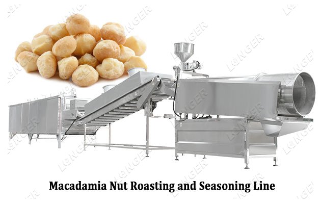 Continuous Macadamia Nut Roasting and Seasoning Line