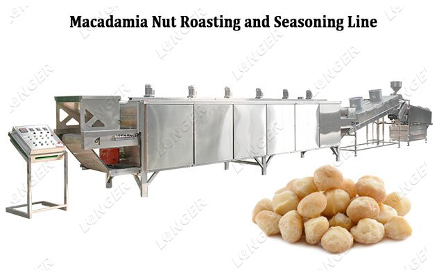 Automatic Macadamia Nut Roasting Line